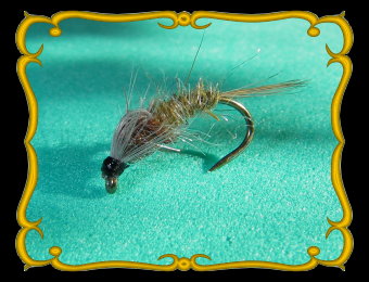 baetis